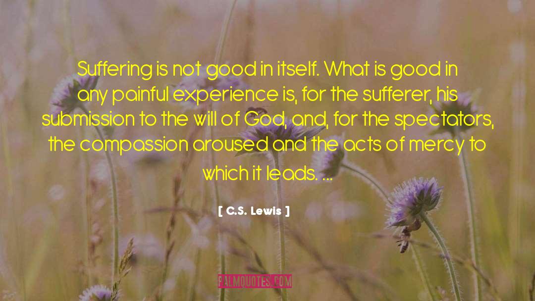 C S Lewis Experience Teacher quotes by C.S. Lewis