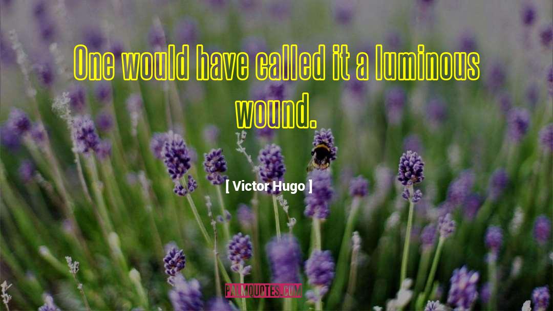 C3 A9cho quotes by Victor Hugo