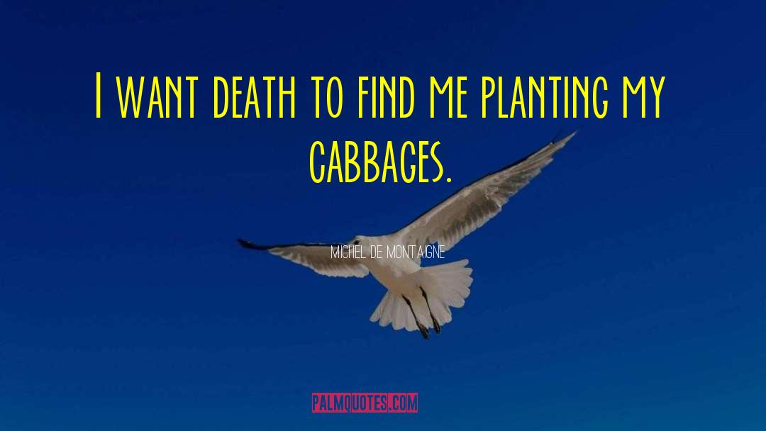 Cabbages quotes by Michel De Montaigne