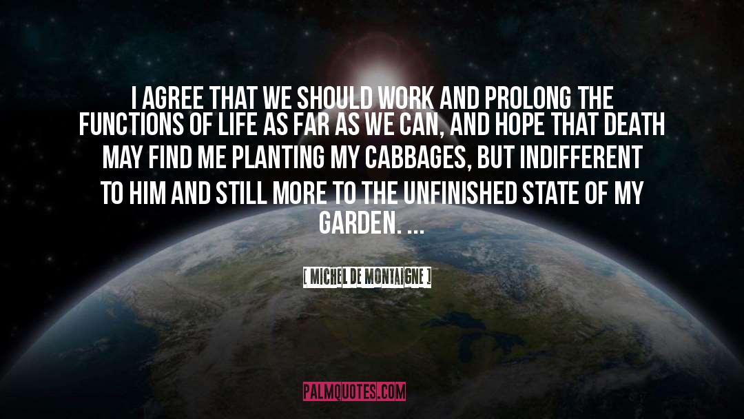 Cabbages quotes by Michel De Montaigne