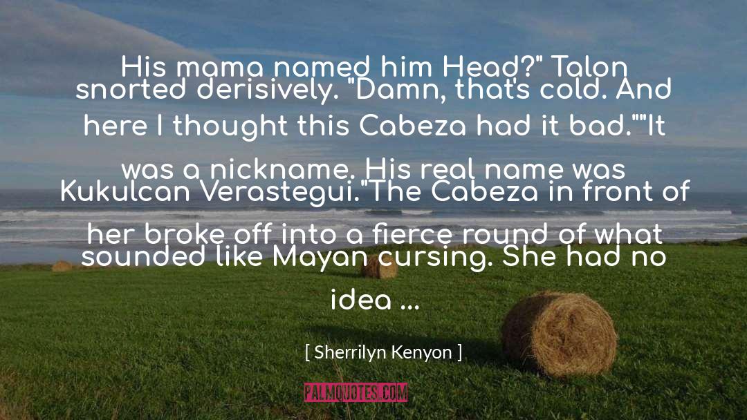 Cabeza De Vaca quotes by Sherrilyn Kenyon