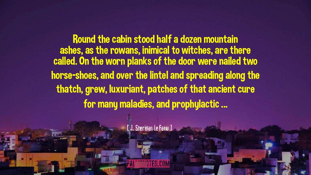 Cabin quotes by J. Sheridan Le Fanu