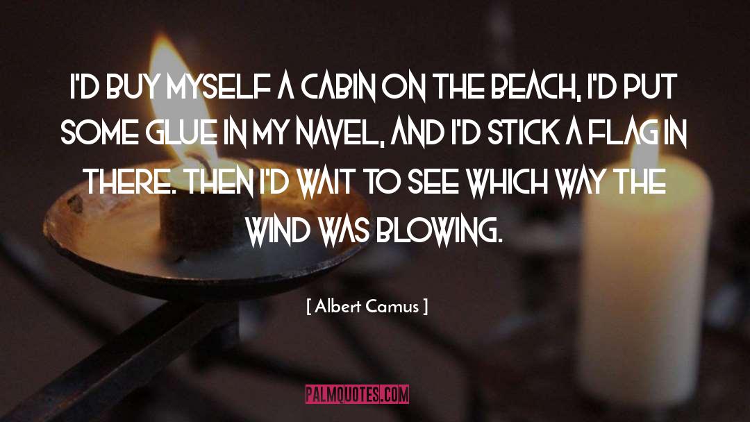 Cabin quotes by Albert Camus