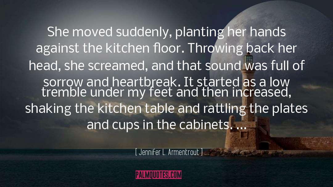 Cabinets quotes by Jennifer L. Armentrout
