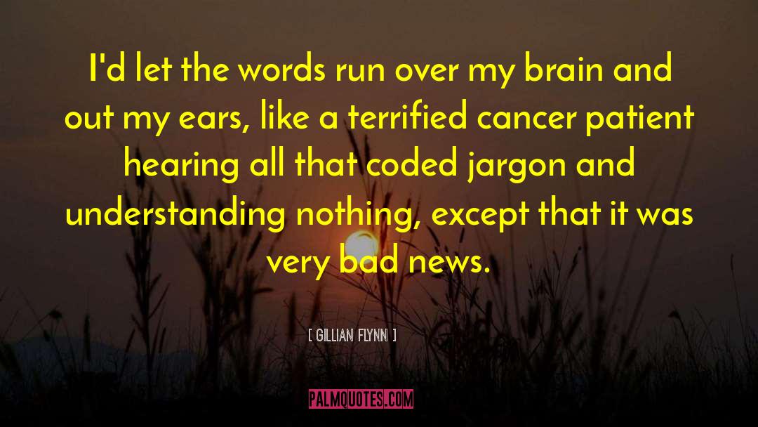 Cable News quotes by Gillian Flynn