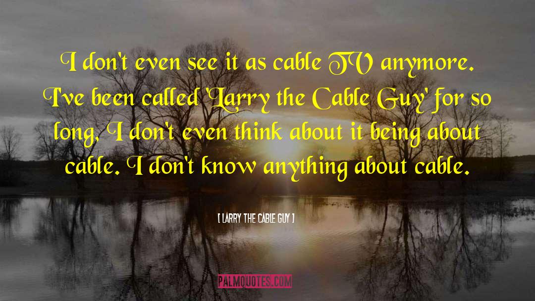 Cable Tv quotes by Larry The Cable Guy