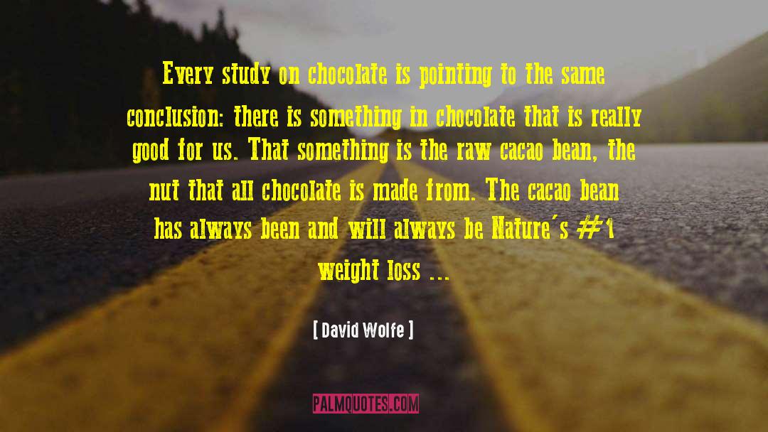 Cacao quotes by David Wolfe