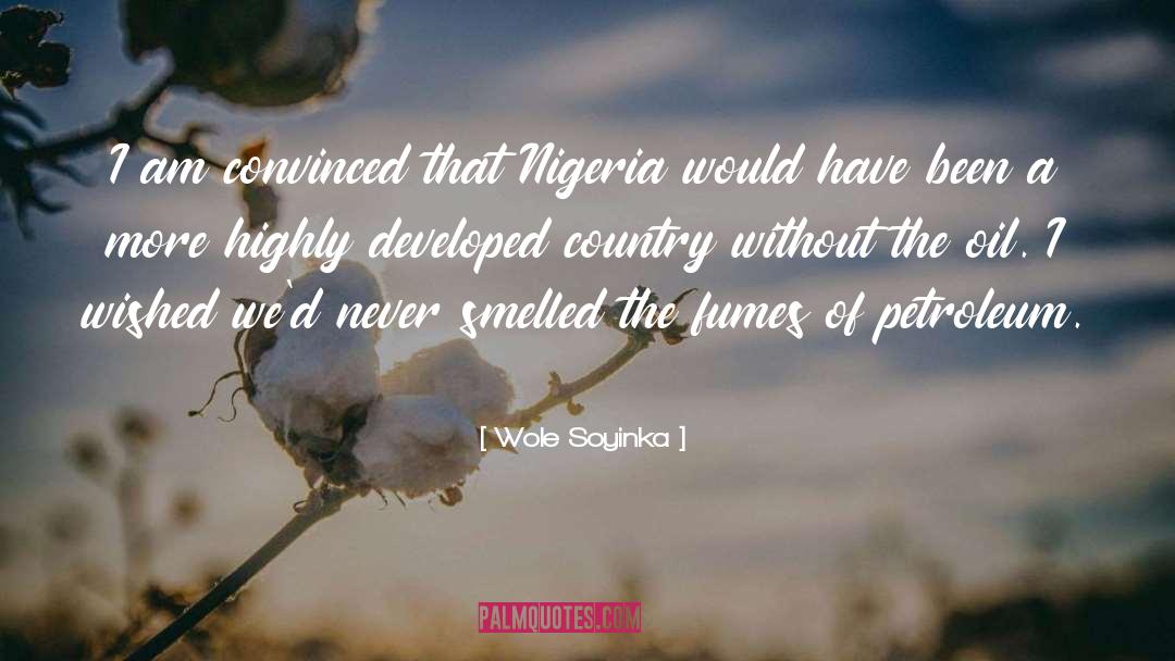 Cachez Nigeria quotes by Wole Soyinka