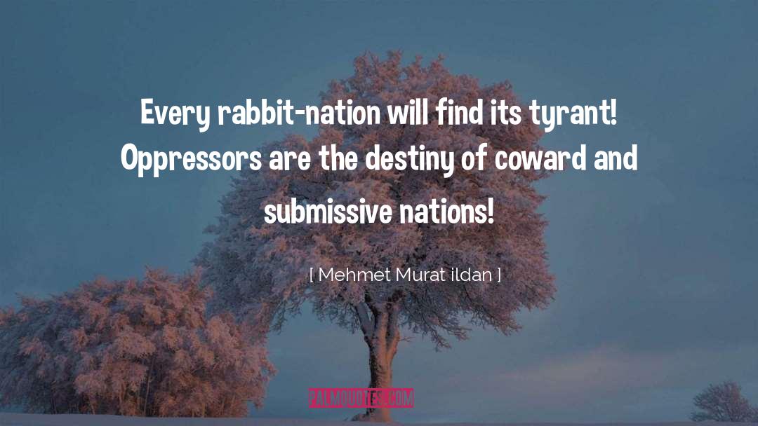 Cachez Nigeria quotes by Mehmet Murat Ildan