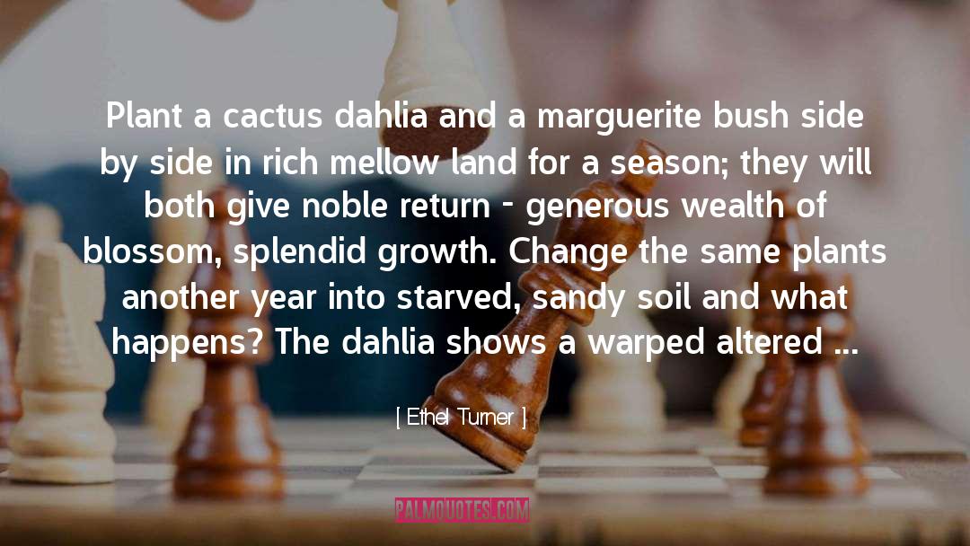 Cactus Land Blog quotes by Ethel Turner