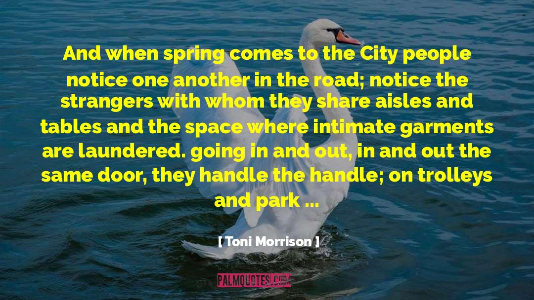 Cadigan Park quotes by Toni Morrison