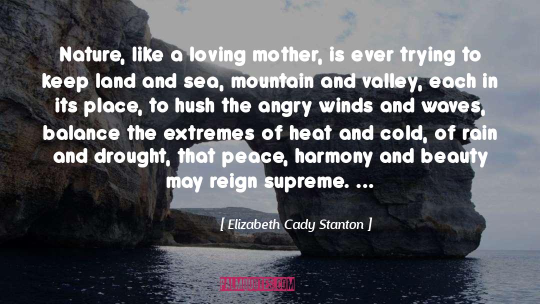 Cady quotes by Elizabeth Cady Stanton