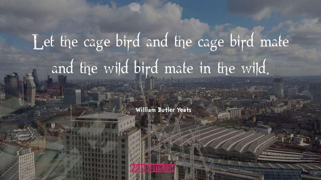 Cage Bird quotes by William Butler Yeats
