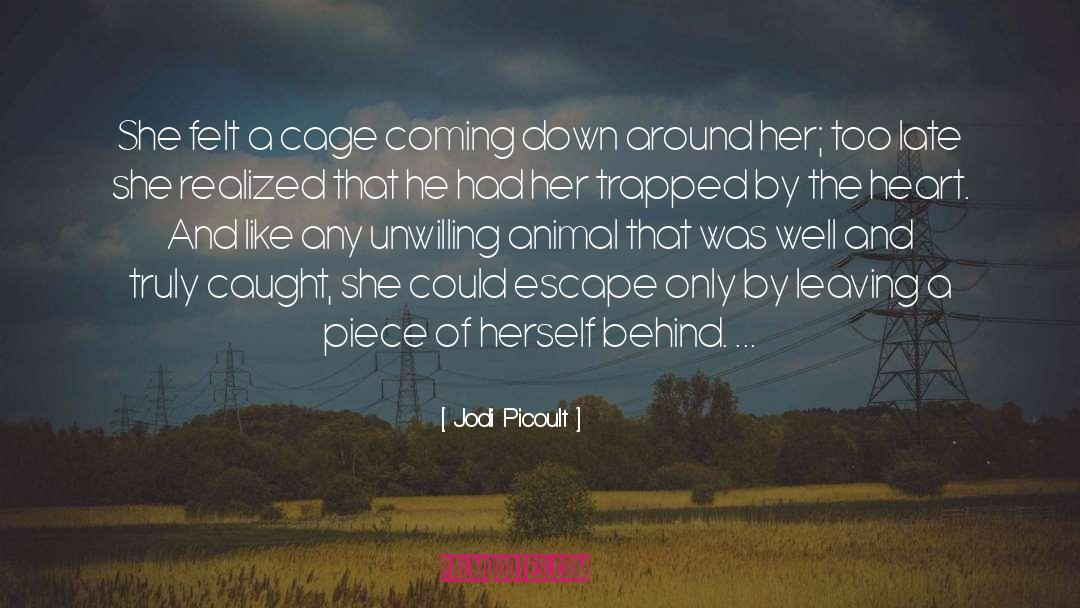 Cage quotes by Jodi Picoult