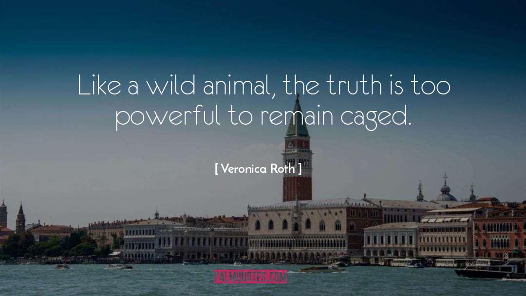 Caged Animal quotes by Veronica Roth