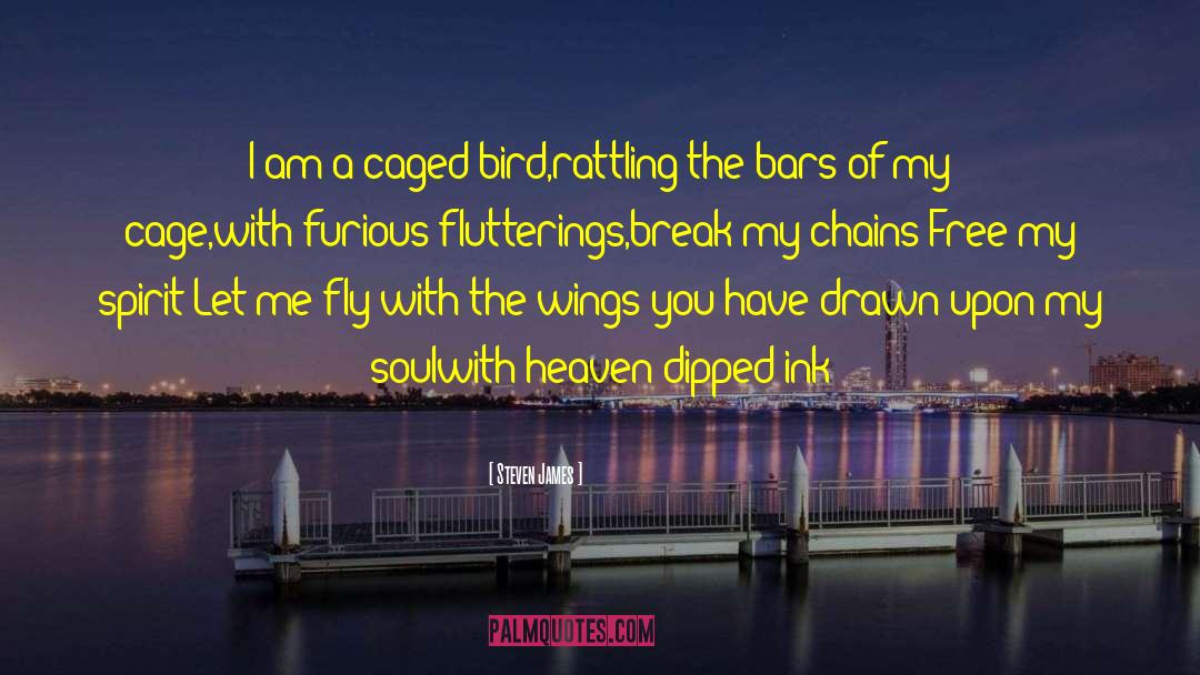 Caged Bird quotes by Steven James