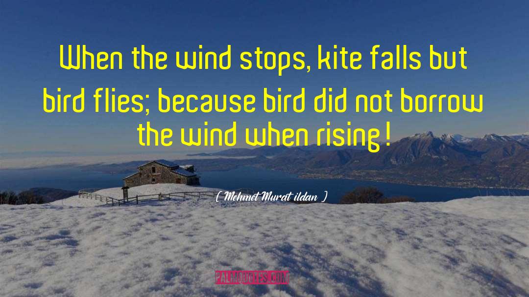 Caged Bird quotes by Mehmet Murat Ildan