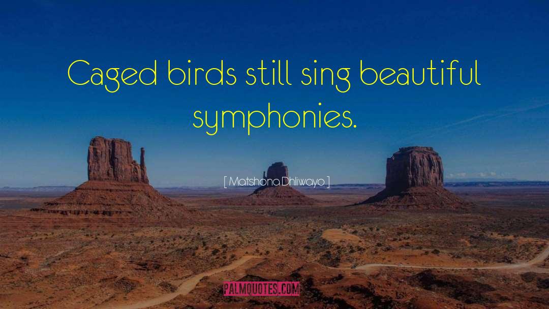 Caged Birds quotes by Matshona Dhliwayo