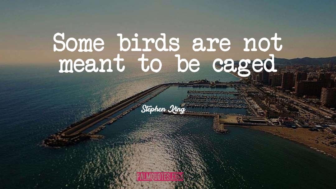 Caged quotes by Stephen King