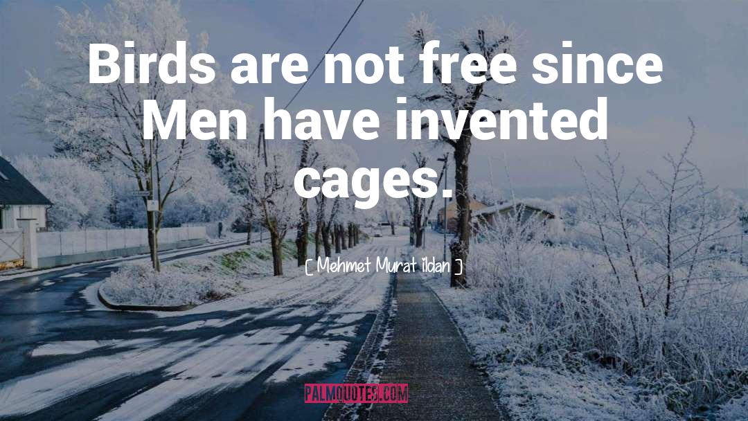 Cages quotes by Mehmet Murat Ildan