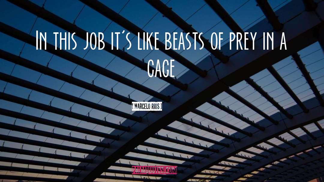 Cages quotes by Marcelo Rios