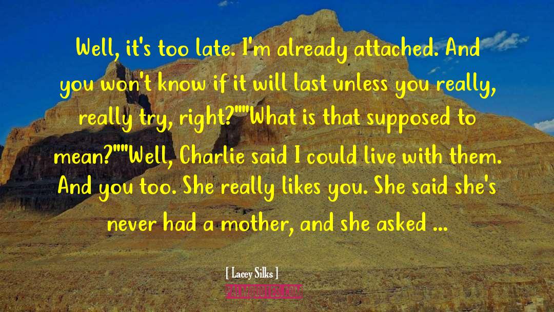 Cagney And Lacey quotes by Lacey Silks