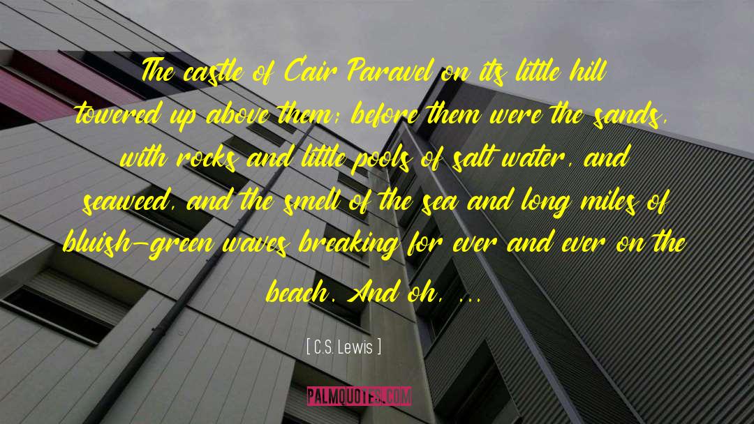 Cair quotes by C.S. Lewis