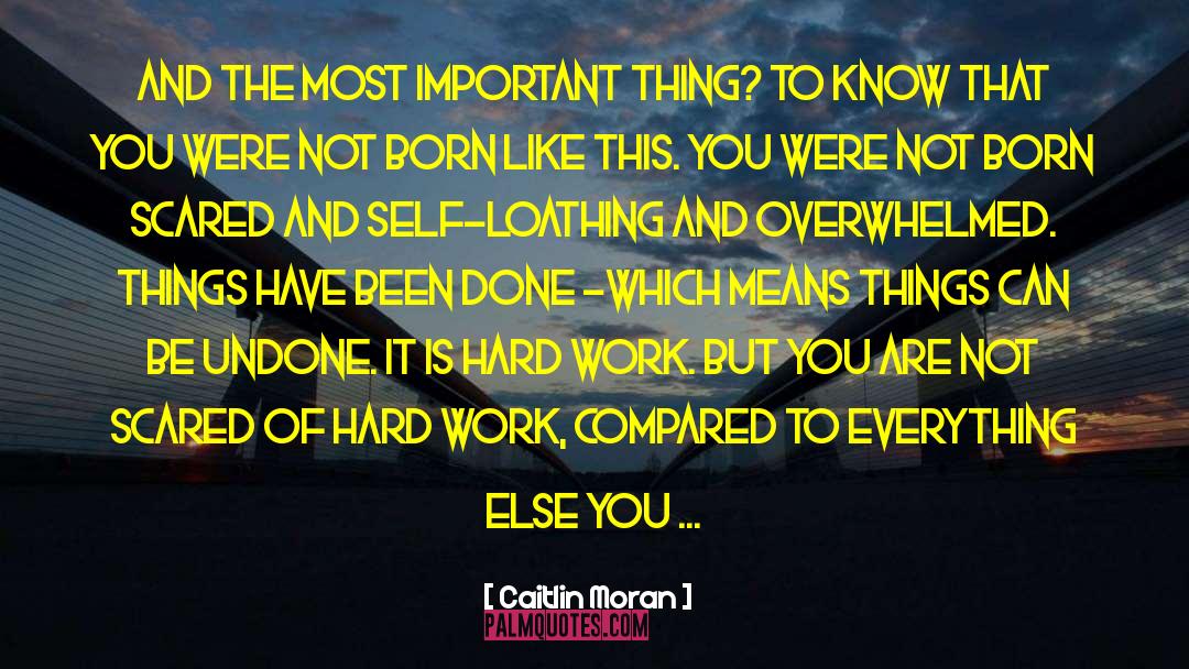 Caitlin Moran quotes by Caitlin Moran