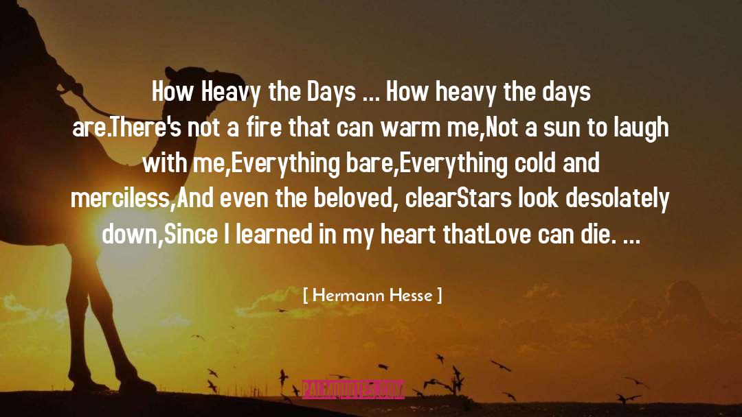Cajun Love quotes by Hermann Hesse
