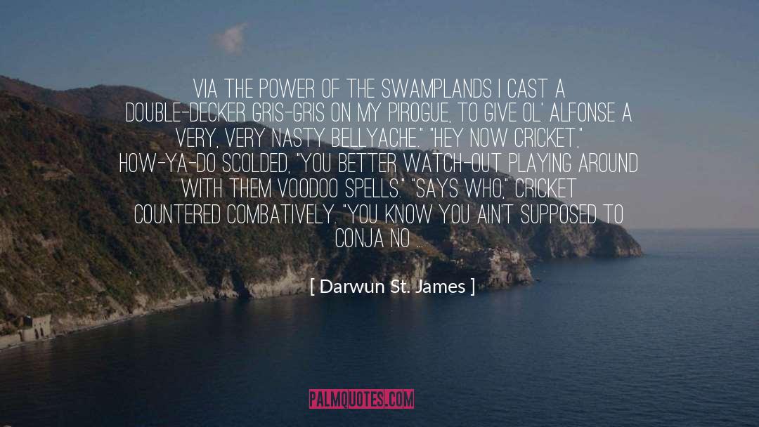 Cajun quotes by Darwun St. James