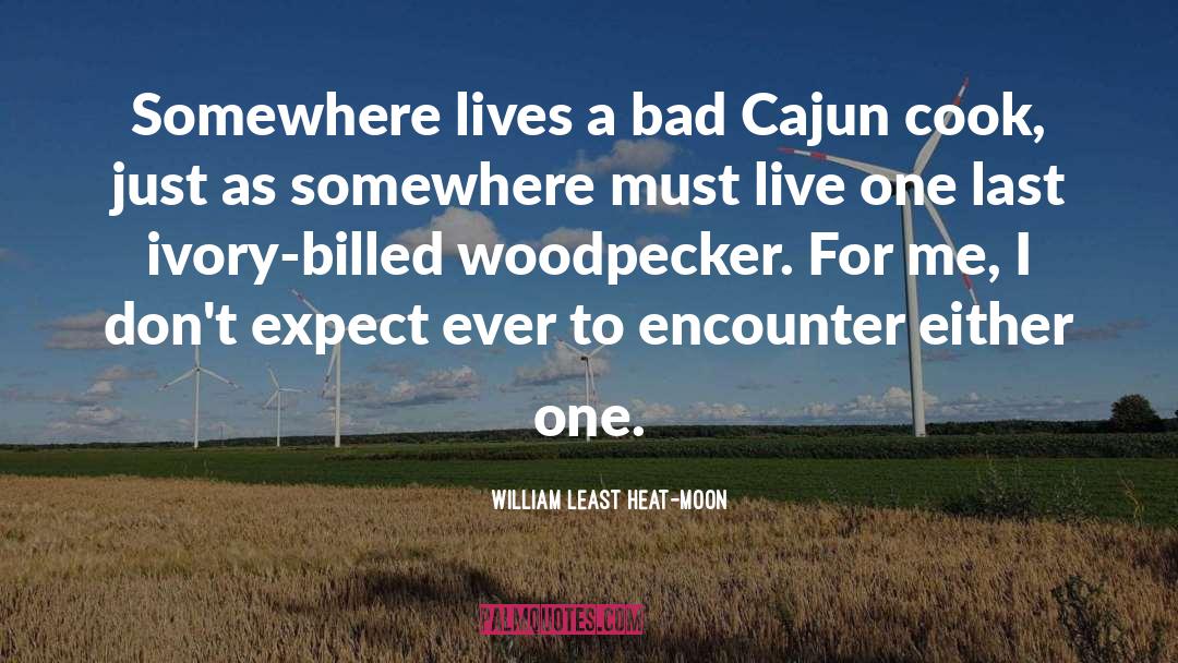 Cajun quotes by William Least Heat-Moon