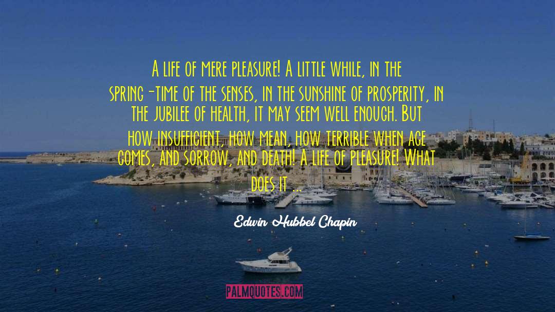 Cake And Wine quotes by Edwin Hubbel Chapin