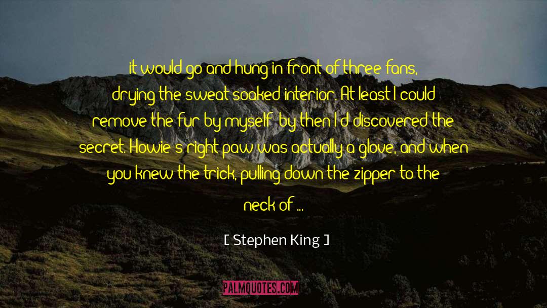 Cake And Wine quotes by Stephen King