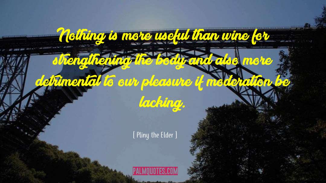 Cake And Wine quotes by Pliny The Elder