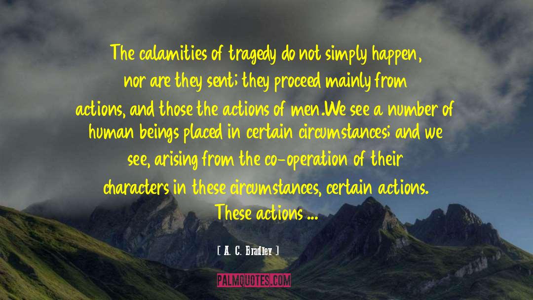 Calamities quotes by A. C. Bradley