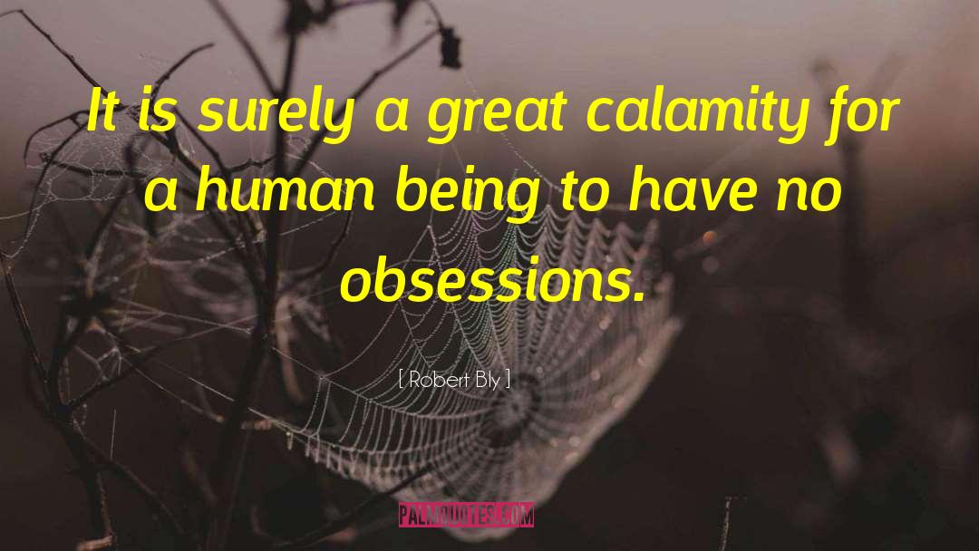Calamity quotes by Robert Bly
