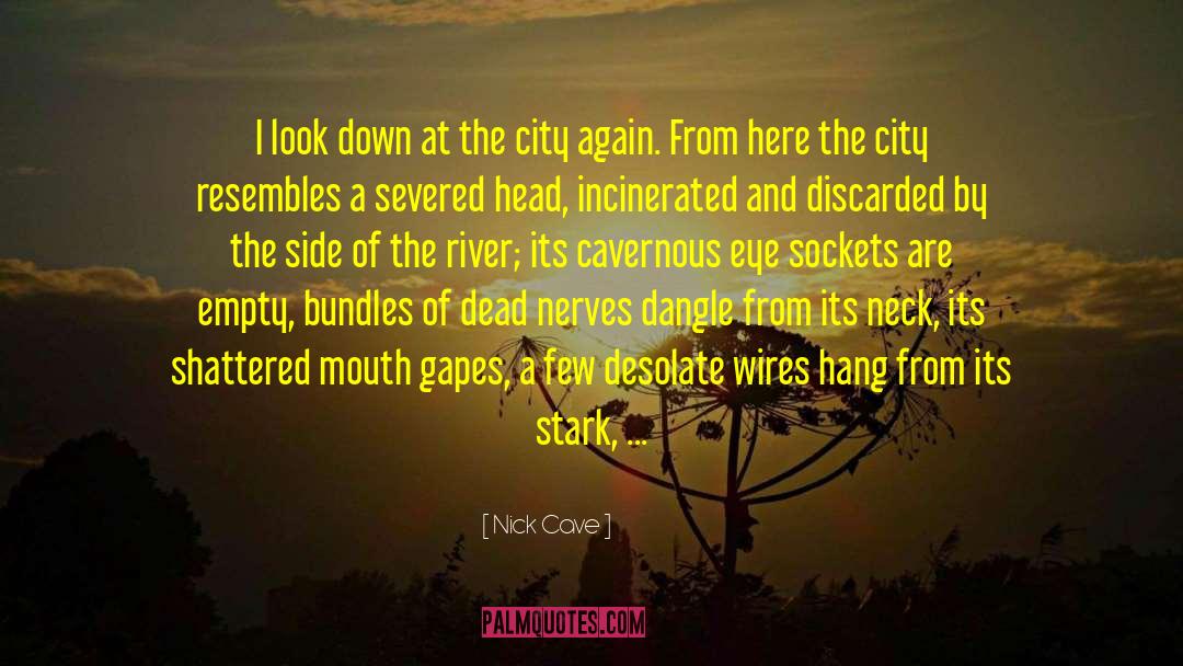 Calamity quotes by Nick Cave