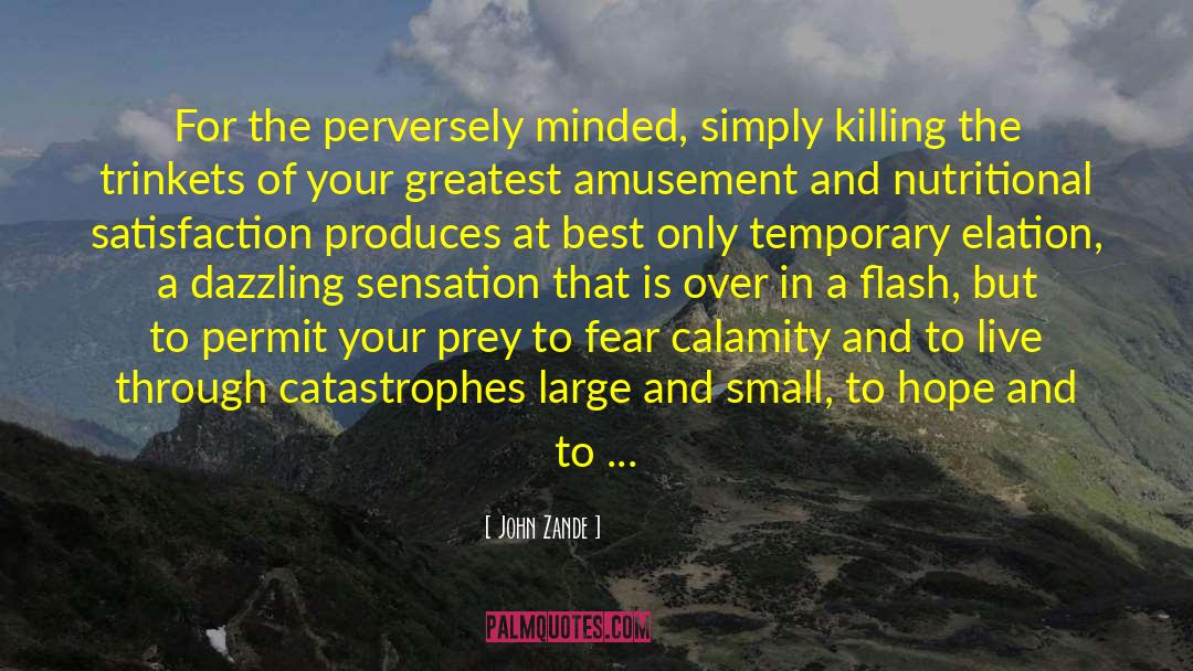 Calamity quotes by John Zande