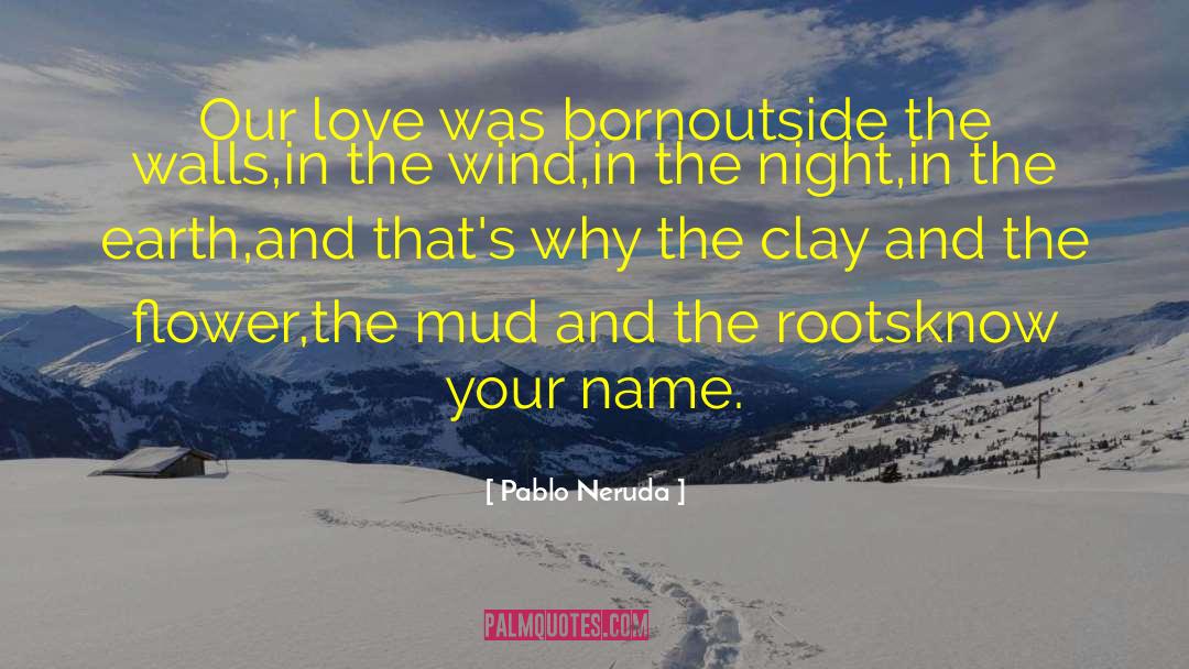 Calantha Flower quotes by Pablo Neruda