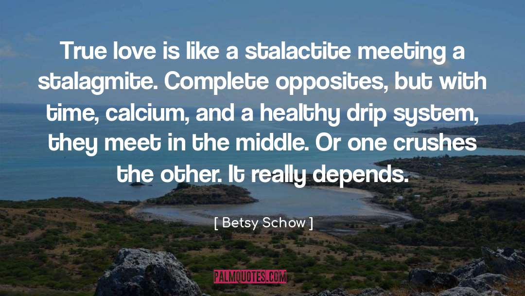 Calcium quotes by Betsy Schow