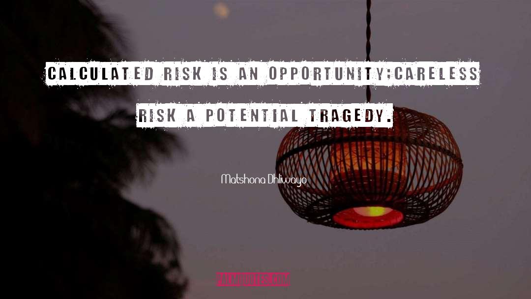 Calculated Risk quotes by Matshona Dhliwayo