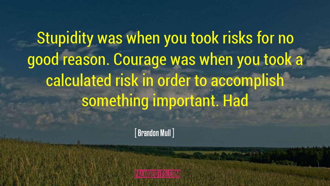 Calculated Risk quotes by Brandon Mull