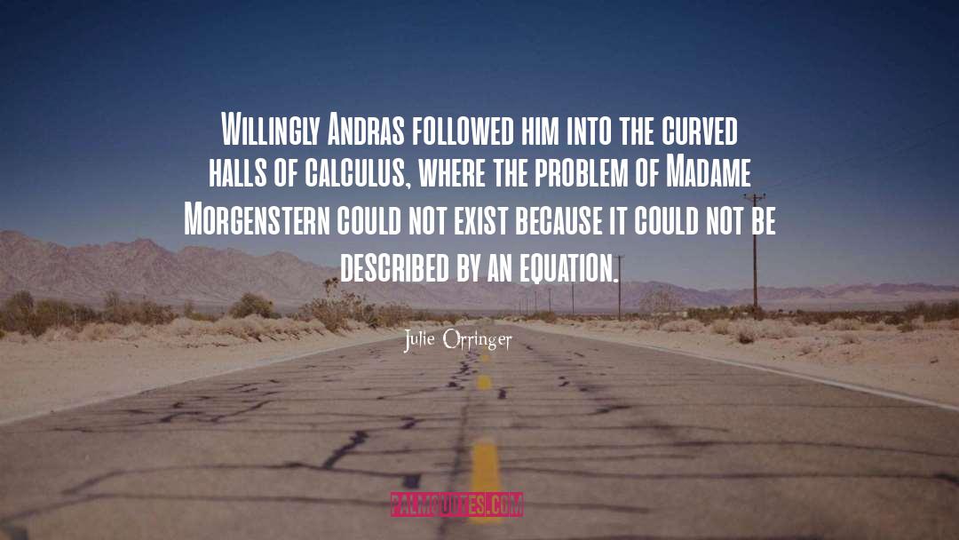 Calculus quotes by Julie Orringer