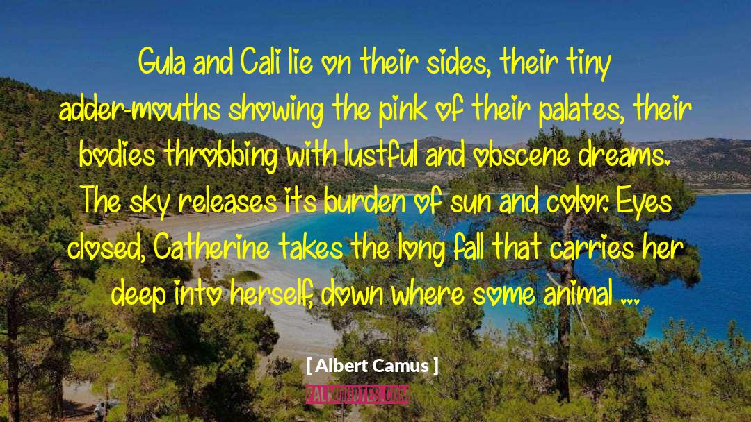 Cali quotes by Albert Camus