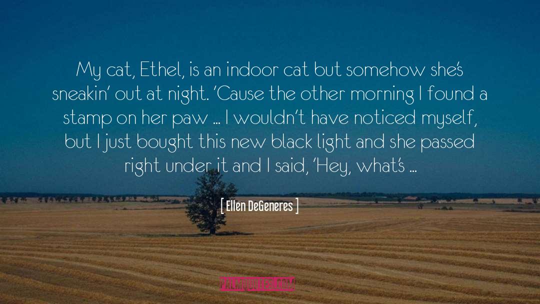 Calibers Indoor quotes by Ellen DeGeneres