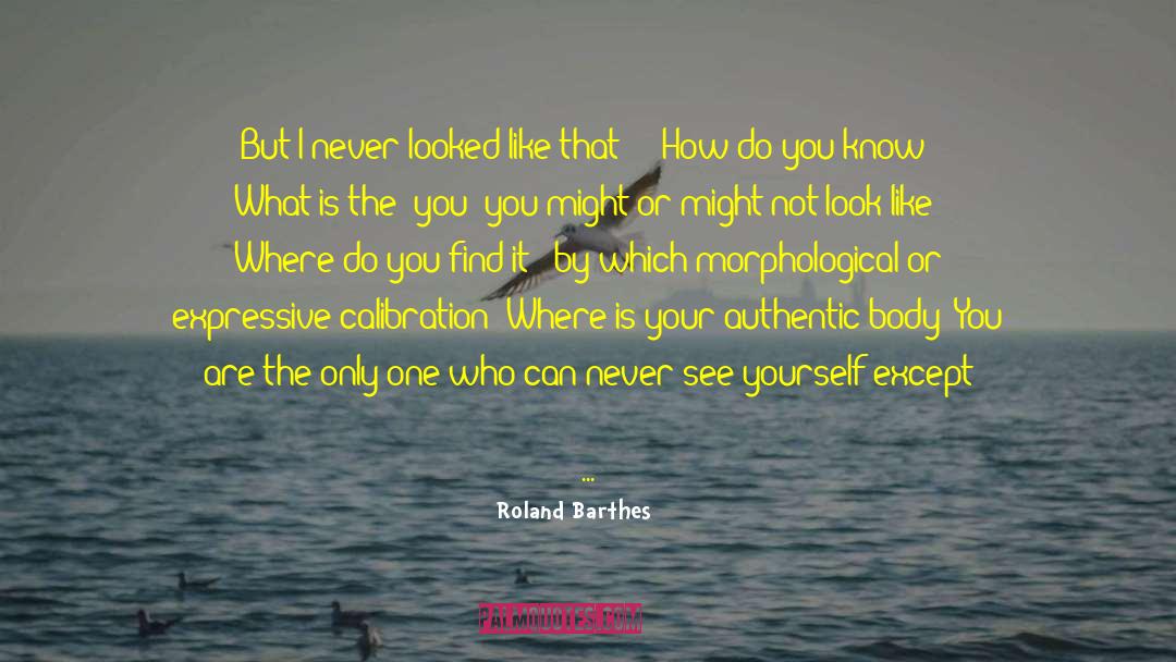 Calibration quotes by Roland Barthes