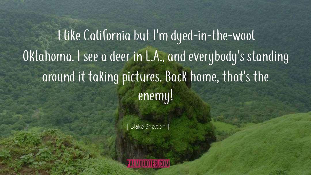 California quotes by Blake Shelton