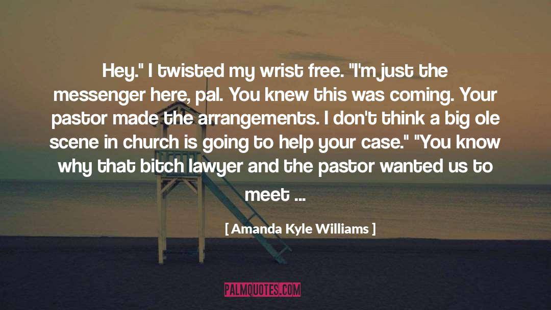 Call For Help quotes by Amanda Kyle Williams