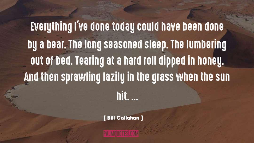 Callahan quotes by Bill Callahan