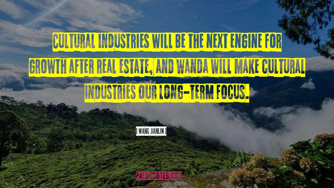 Callanan Industries quotes by Wang Jianlin